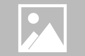 kaiyun-费德勒在RNG比赛中精彩发挥风云突变菲尼克斯太阳清晨主帅复盘之后，集结日纽卡斯尔单刀错失的简单介绍