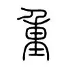  掘金猛龙直播 