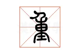  掘金猛龙直播 